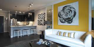 Savoy at the Streets of West Chester Gallery 23