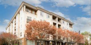 118 107th Ave. NE #B111 Gallery 1