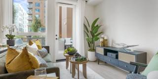 Maxwell at Bascom Maxwell at Bascom Gallery 19