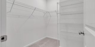 275 PUMA LOOP Gallery 18