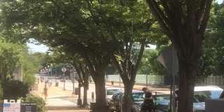 2311 CALVERT Street NW Gallery 6