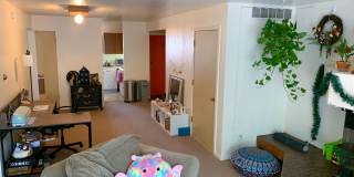 Evergreen Apartments Gallery 38