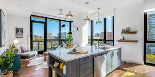 Aster Aster Gallery 22