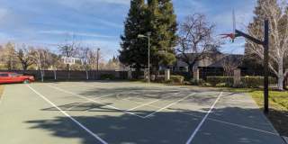 Oak Brook Gallery 32