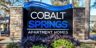 Cobalt Springs Gallery 15