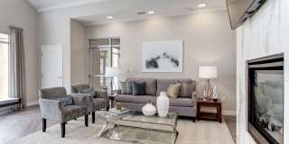Satyr Hill Gallery 25