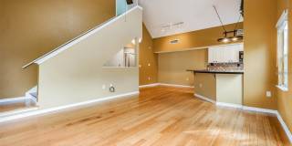 9156 LAKE CHASE ISLAND WAY 9156 LAKE CHASE ISLAND WAY Gallery 19