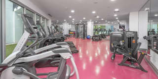 Society Westshore Apartments Gallery 7