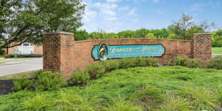 6749 Dorothy's Creek Gallery 1