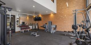 Southline Gallery 18