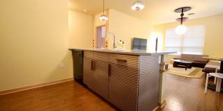 Settlement Place Gallery 299