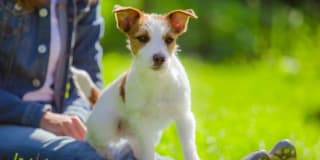 Eaton Village Gallery 21