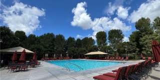 80 Cipresso Gallery 32