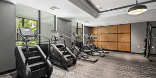 Aster & Links Gallery 70