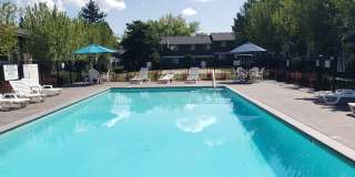 Two Bedroom, One Bath, 2nd Floor - End of Winter Special - Second Month Free! Gallery 73