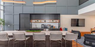 Live Grandscape Gallery 13