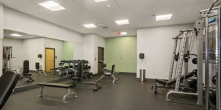 The Victor Gallery 4