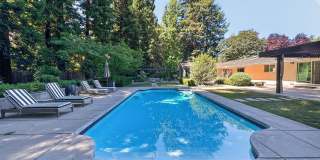 Gorgeous 4 Bedroom PLUS Spacious Bonus Room with Pool in Desired Alamo Neighborhood Available Now! Gallery 49