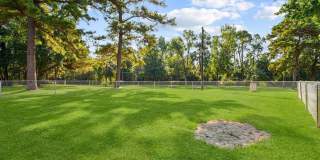 Lake Houston Pines Gallery 13