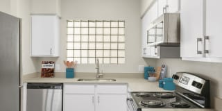 Fountain Palms Gallery 3