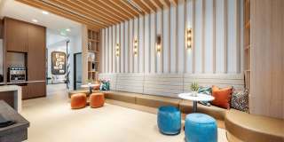 Alta Citron Gallery 22