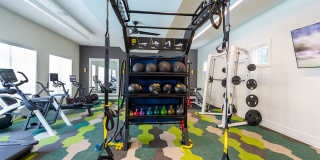 Altura at the Groves Gallery 21