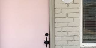 Flamingo Gallery 6