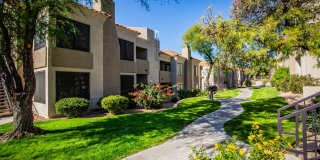 The Legends at La Paloma Gallery 17