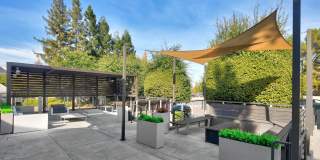 Almaden Lake Village Gallery 29