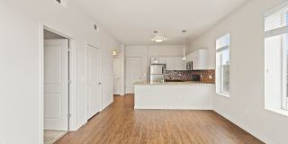 Ascent Uptown Apartments Gallery 2