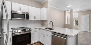 The Windsor Gallery 33