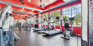 Vista Lake Ned Gallery 11