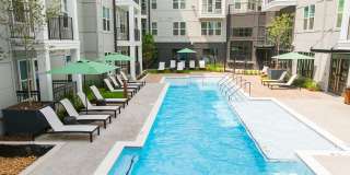 The Scottie Gallery 30