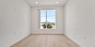 The Rosenell Gallery 229