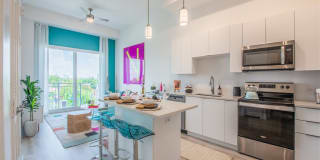 Altis Little Havana Gallery 3