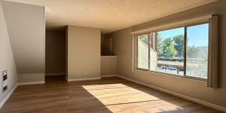 Must see to appreciate 3 bedroom, 2.5 bathroom condo with Cupertino Schools! Gallery 1