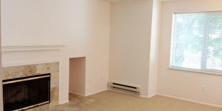 Green Lake 5, LLC Gallery 8