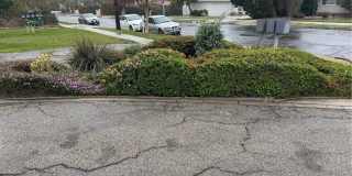 17531 San Jose Gallery 19