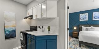 505 Collection Gallery 10