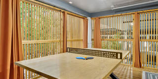 The Frankie Gallery 13