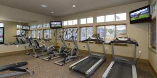 Copper Ridge Gallery 8