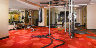 The Standard The Standard Gallery 34