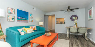 The Solana Vista Gallery 20