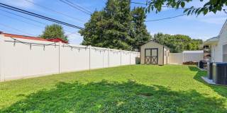 29 PALM Lane Gallery 21