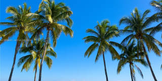 781 Crandon Blvd Gallery 5