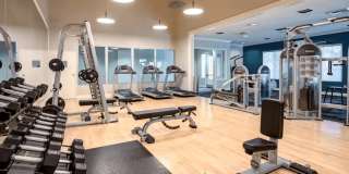 Waterstone Media Center Gallery 3