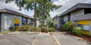 Cypress Crest Gallery 6