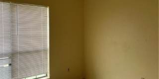 2404 Bluebonnet Drive Gallery 11
