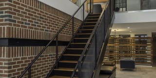 Arcade Sunshine Gallery 27