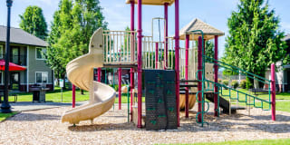 Reflections at the Park Gallery 14